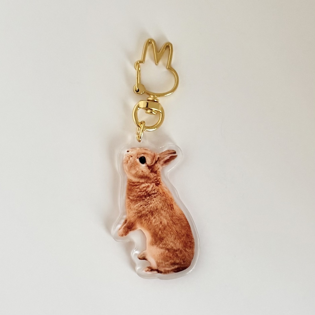 【リニューアル版】うさぎのうい アクリルキーホルダー