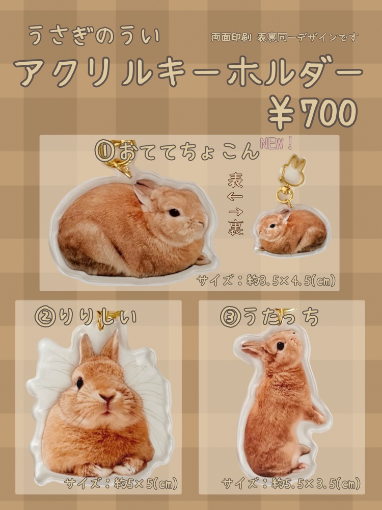 【リニューアル版】うさぎのうい アクリルキーホルダー