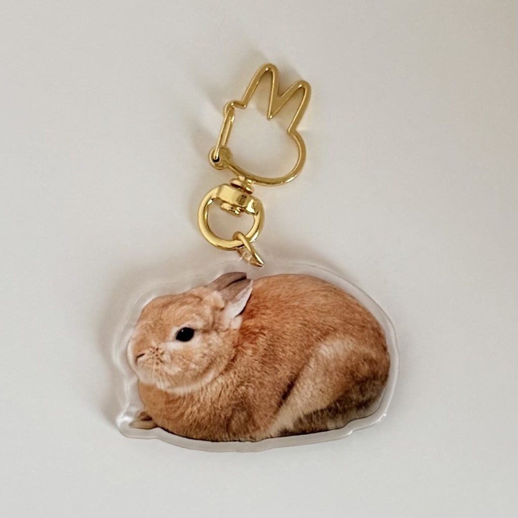 【リニューアル版】うさぎのうい アクリルキーホルダー