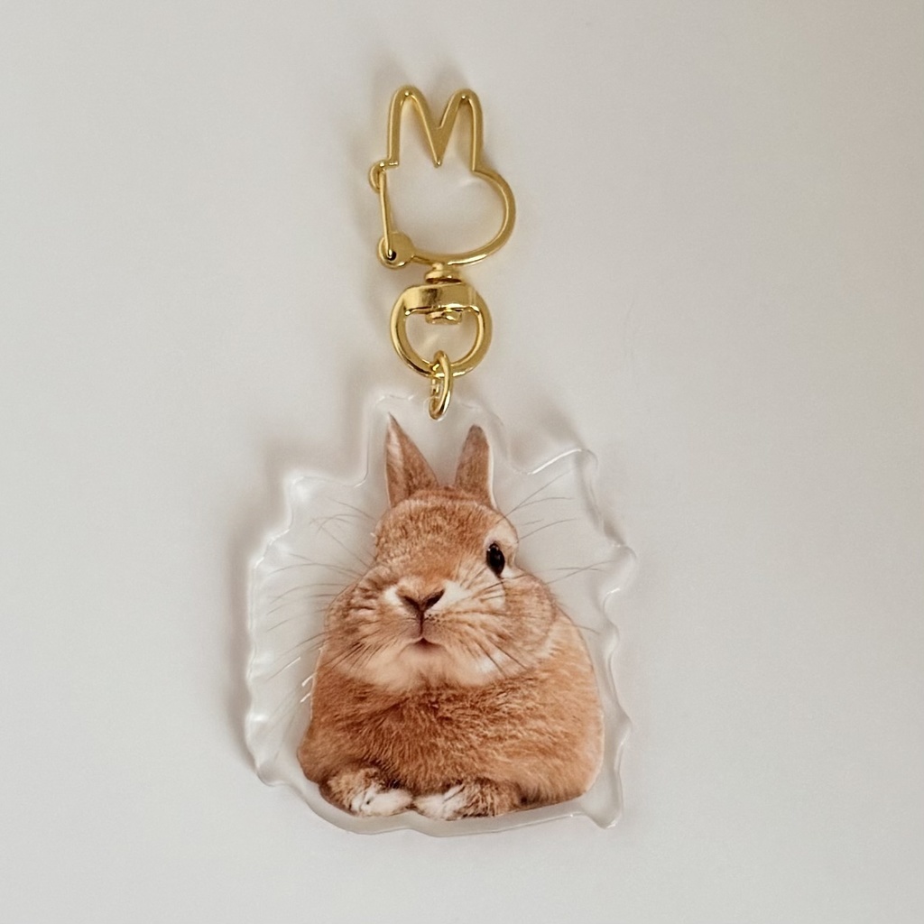 【リニューアル版】うさぎのうい アクリルキーホルダー