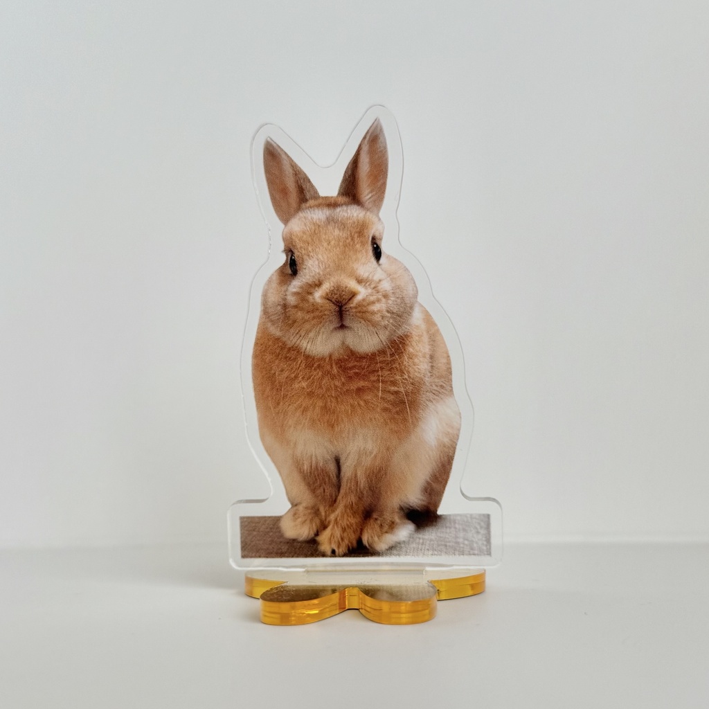 【リニューアル版】うさぎのうい アクリルスタンド