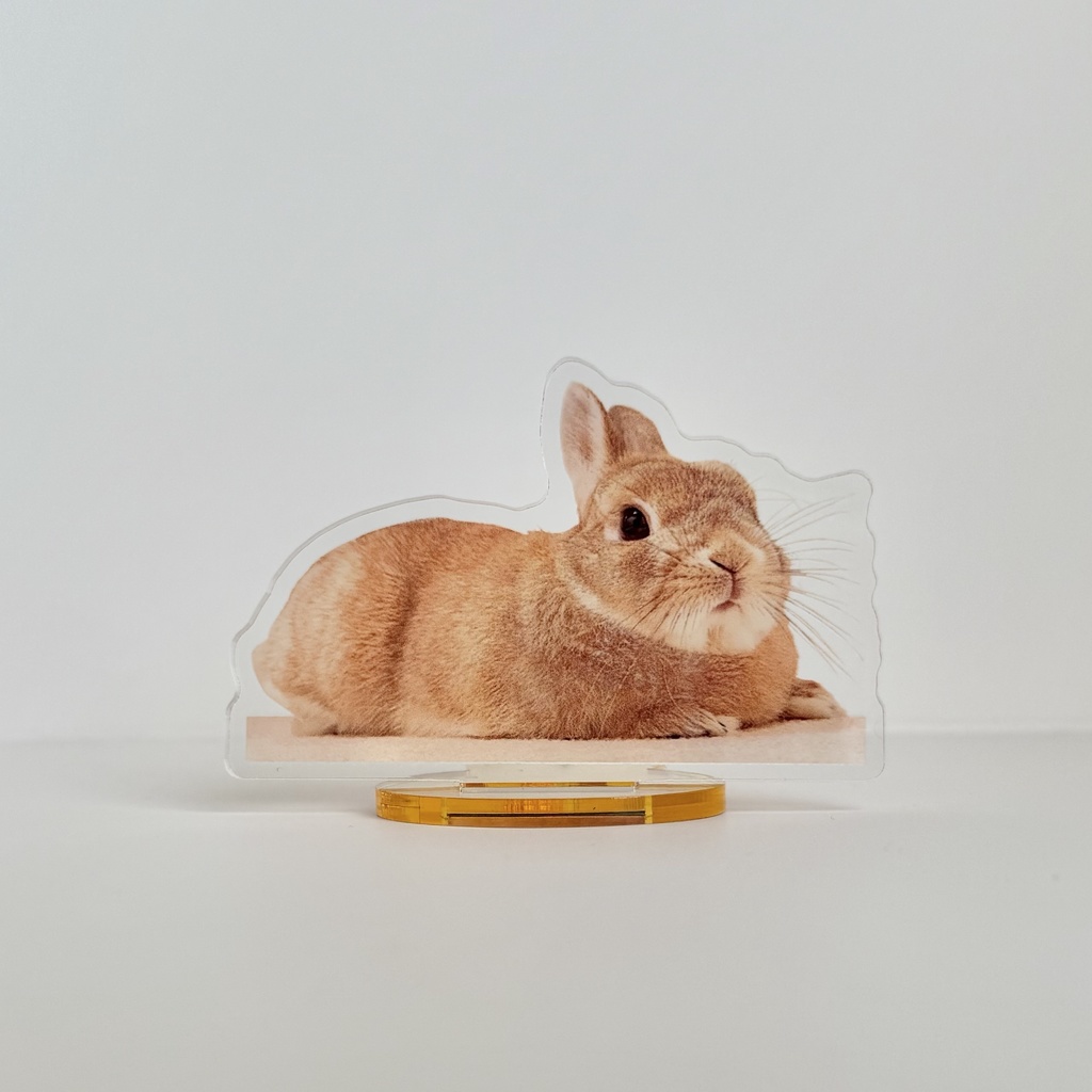 【リニューアル版】うさぎのうい アクリルスタンド