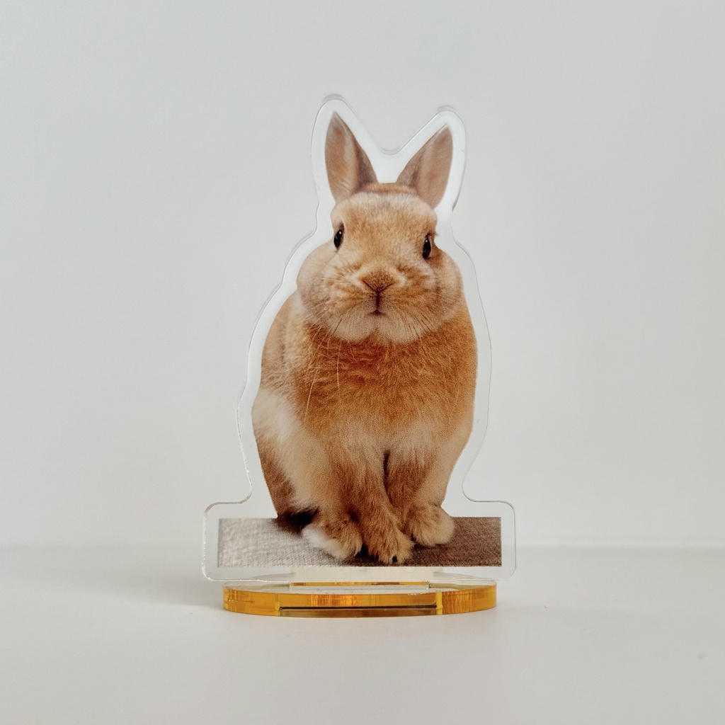 【リニューアル版】うさぎのうい アクリルスタンド