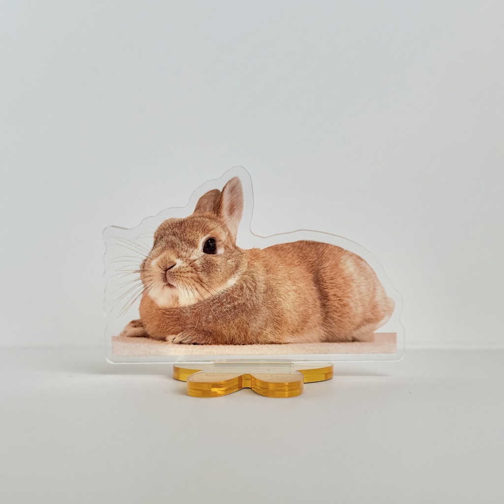 【リニューアル版】うさぎのうい アクリルスタンド