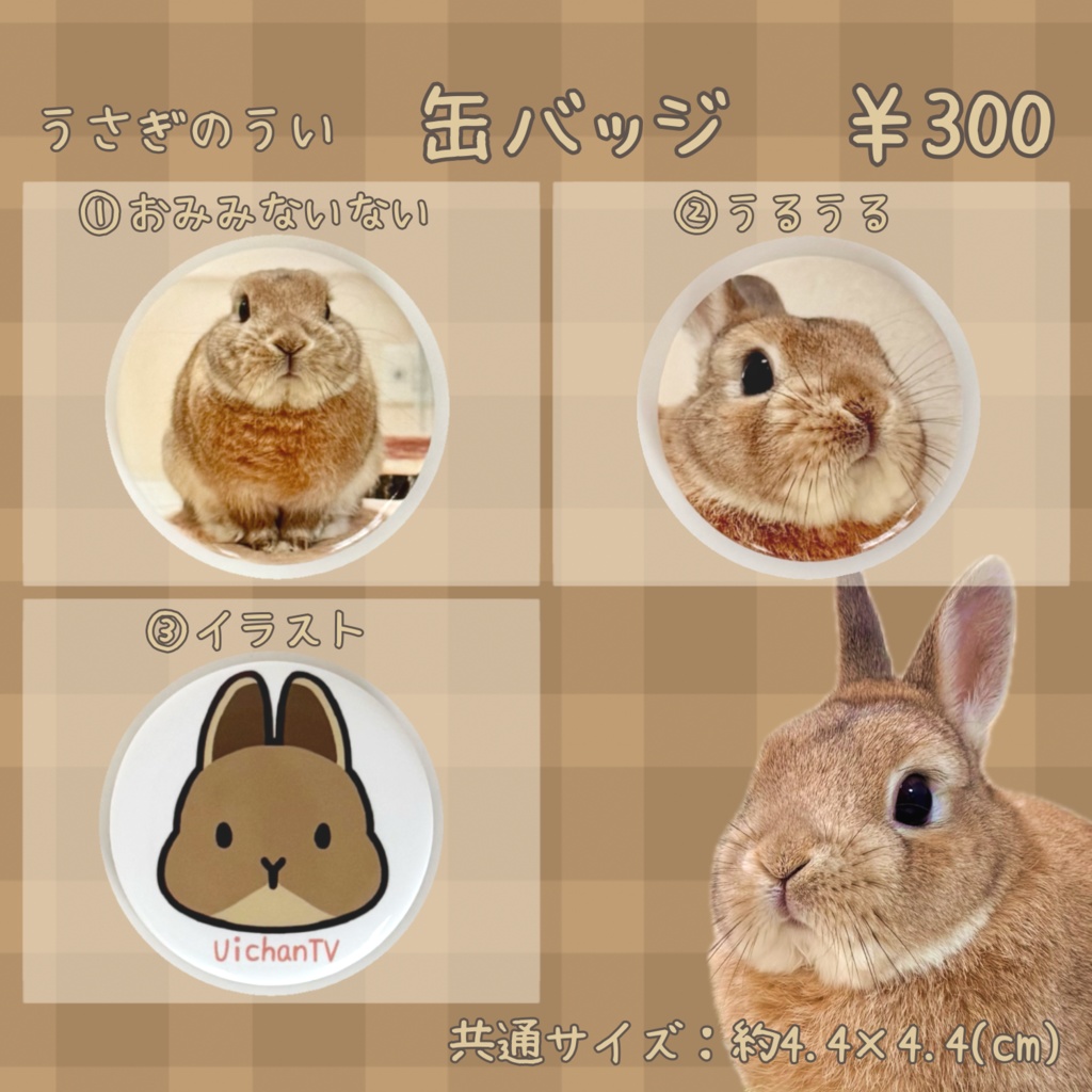 うさぎのうい 缶バッジ