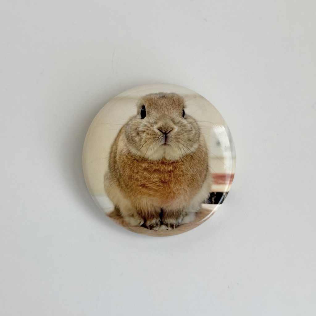 うさぎのうい 缶バッジ