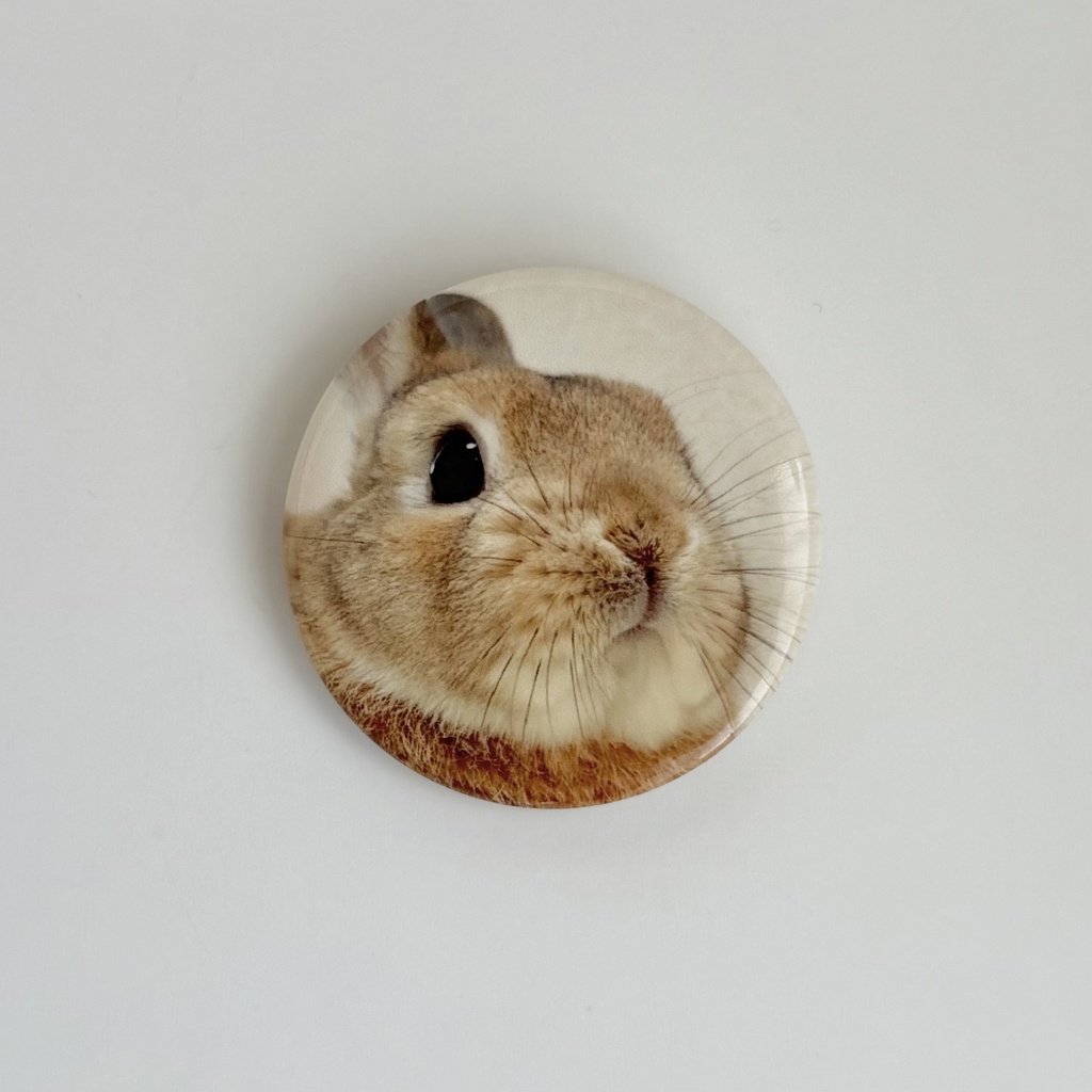 うさぎのうい 缶バッジ