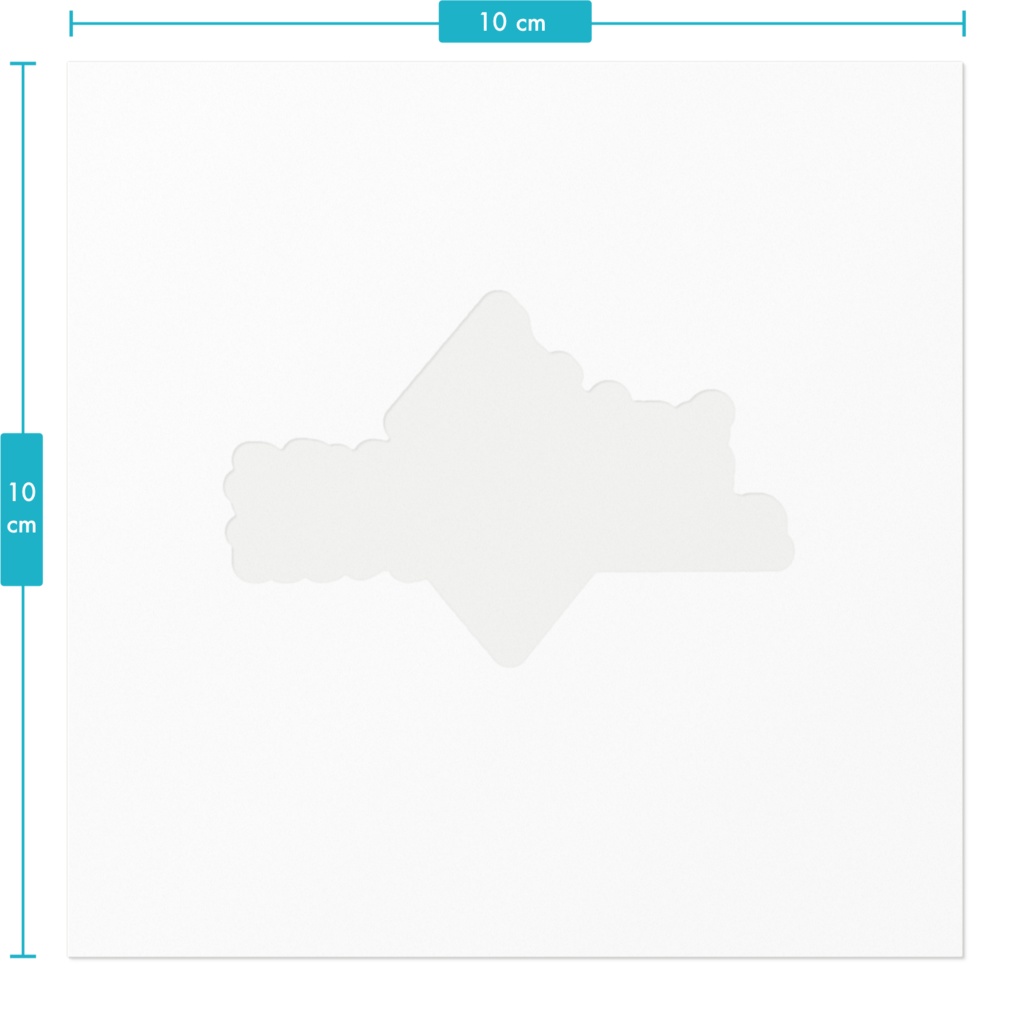 清姫Racing ステッカー 100m×100m