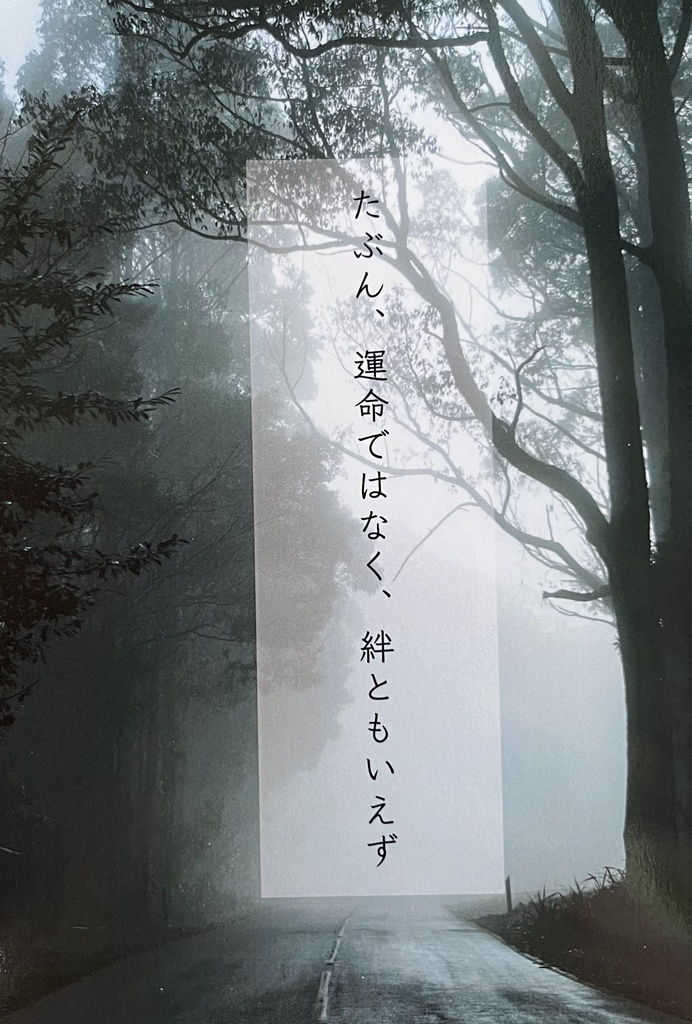 たぶん、運命ではなく、絆ともいえず