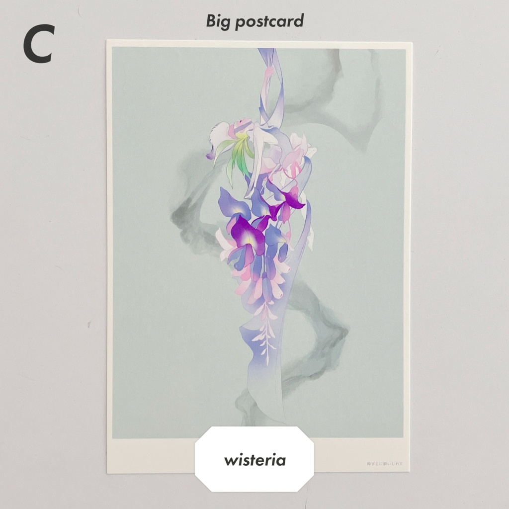 【postcard set】Flower × Dancer 大判ポストカード