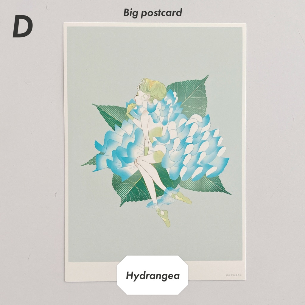 【postcard set】Flower × Dancer 大判ポストカード