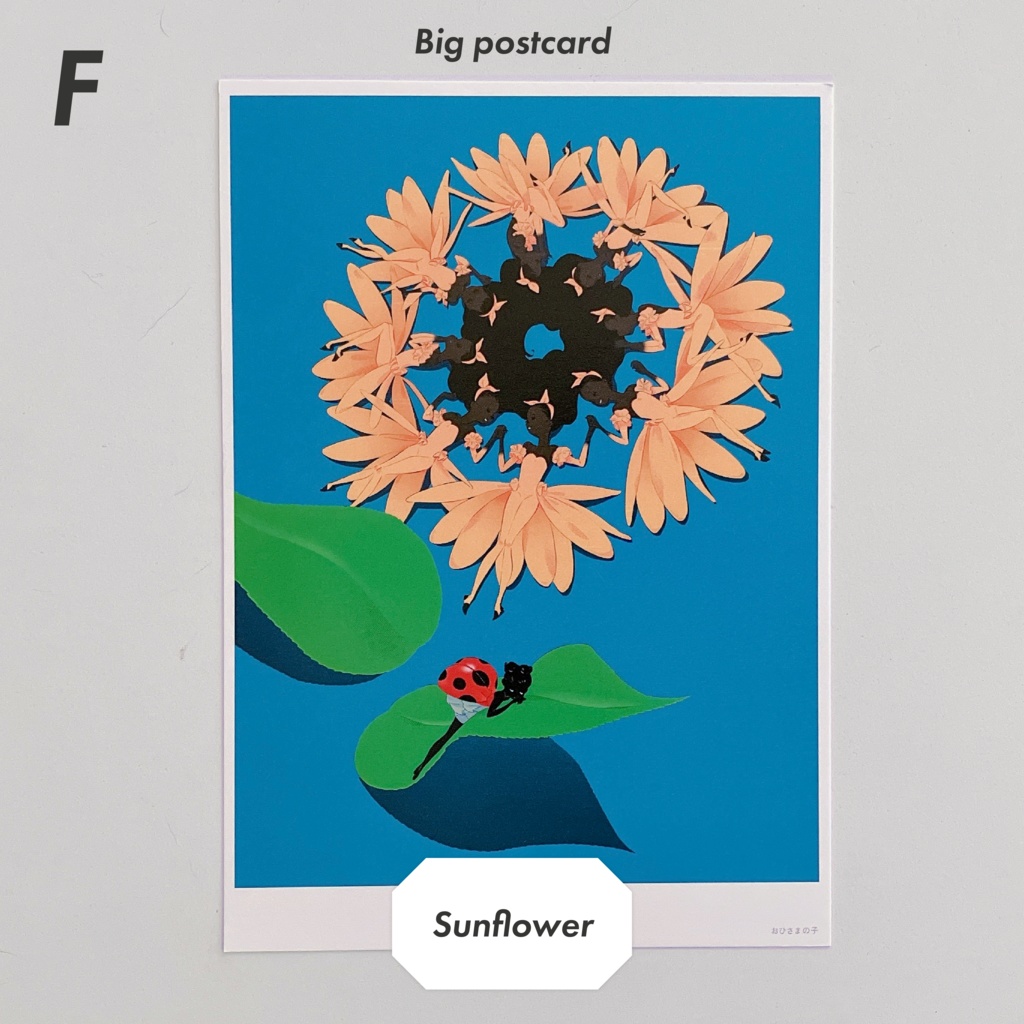 【postcard set】Flower × Dancer 大判ポストカード