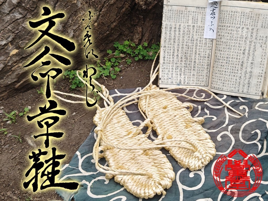 文命草鞋 中サイズ