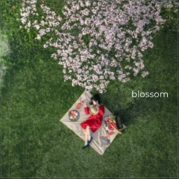 写真集『blossom』(リアルポートレートTOKYO限定)