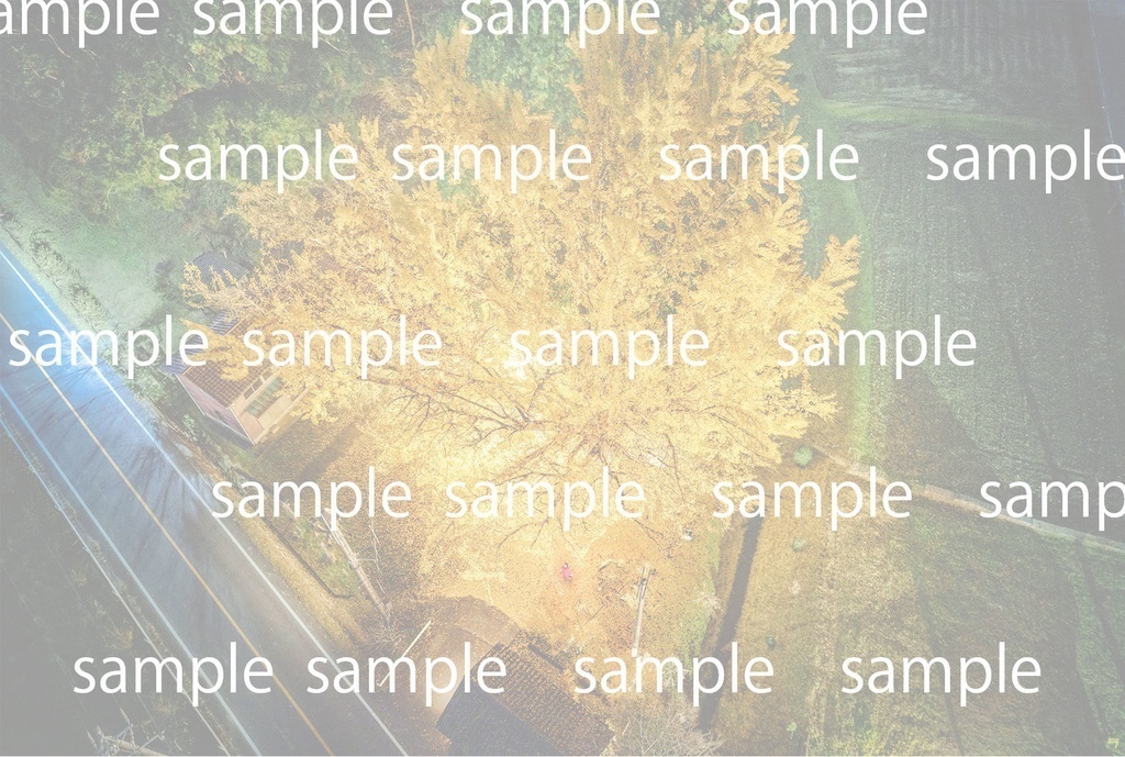 東京カメラ部10選記念写真集【history of SILKDRONE 2020-2024】