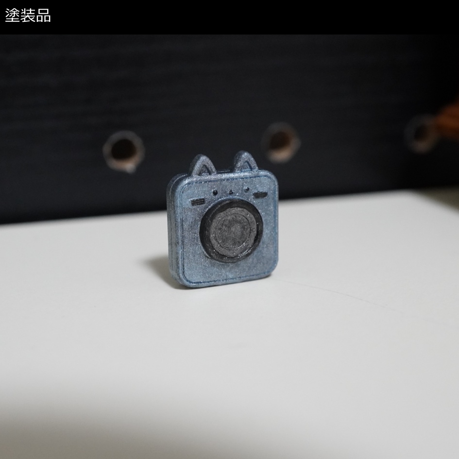 カメラ:ねこカメラ【1/10】