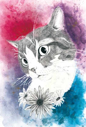 【ポストカード】猫