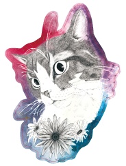 【ステッカー】猫