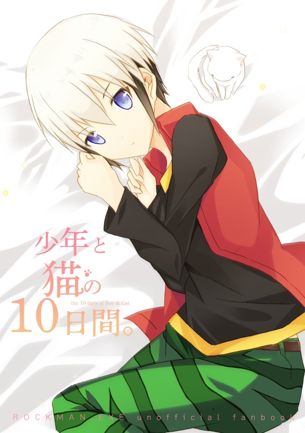 少年と猫の10日間。