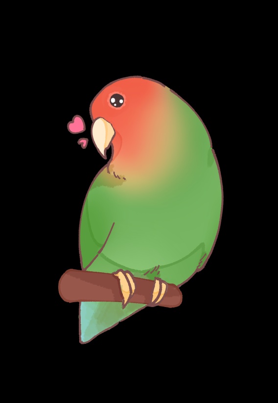 ラブリーコザクラインコちゃん