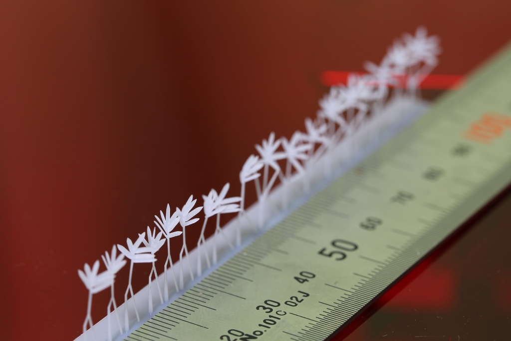 1/80スケール クマザサ80本【送料無料】