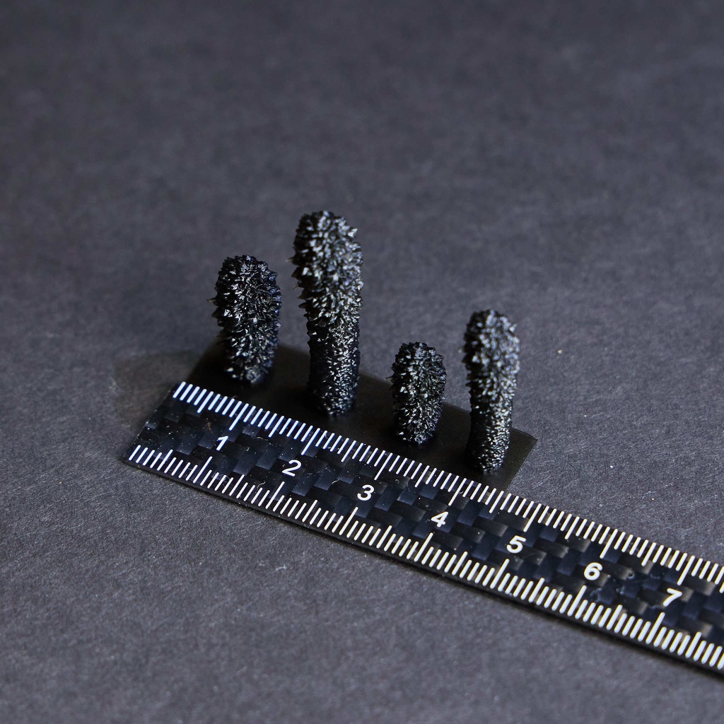 1/35スケール ソテツ(蘇鉄)【送料無料】