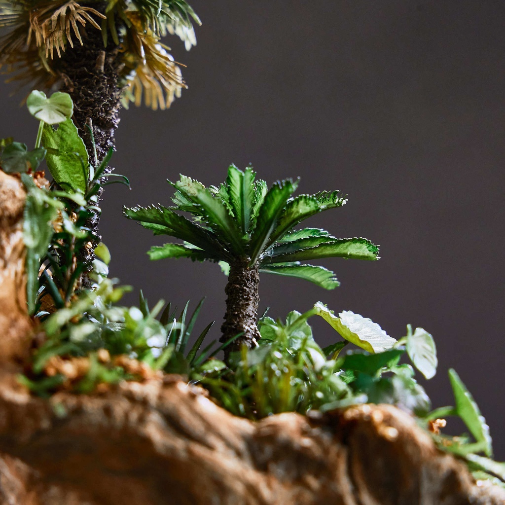 1/35スケール ソテツ(蘇鉄)【送料無料】