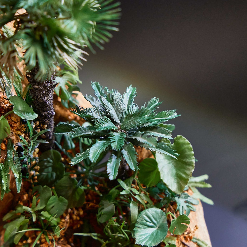 1/35スケール ソテツ（蘇鉄）【送料無料】