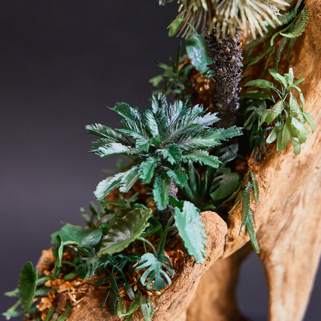 1/35スケール ソテツ(蘇鉄)【送料無料】