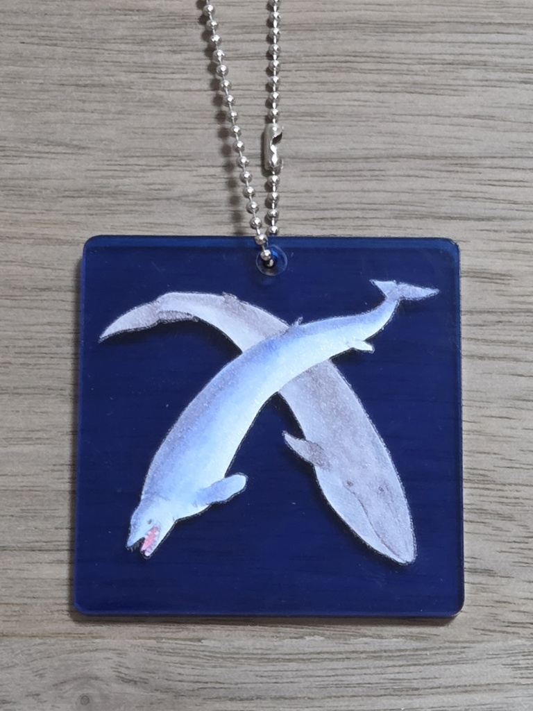 アクリルキーホルダー Cetaceans