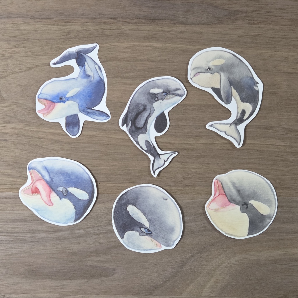 シャチ ステッカー