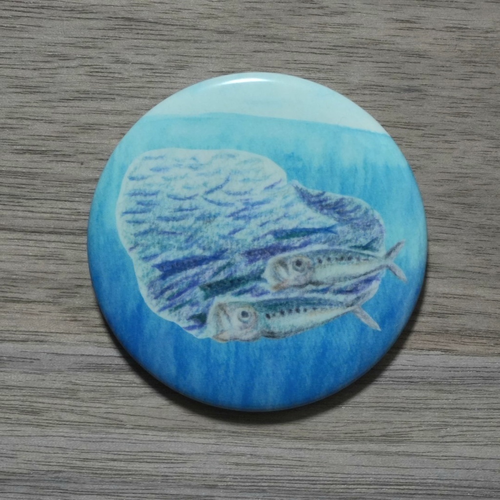 缶マグネット：マイワシ