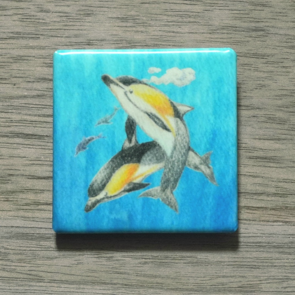缶マグネット：マイルカ