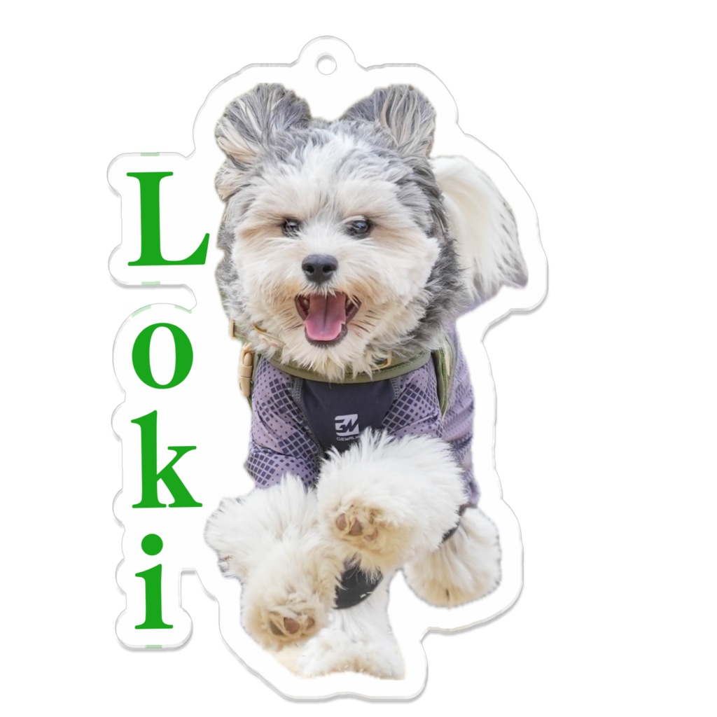 LOKIアクキー