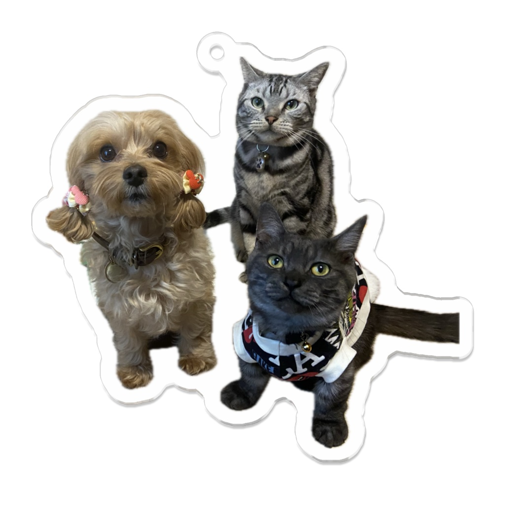 きなこ＆おもち＆ティチャラアクキー