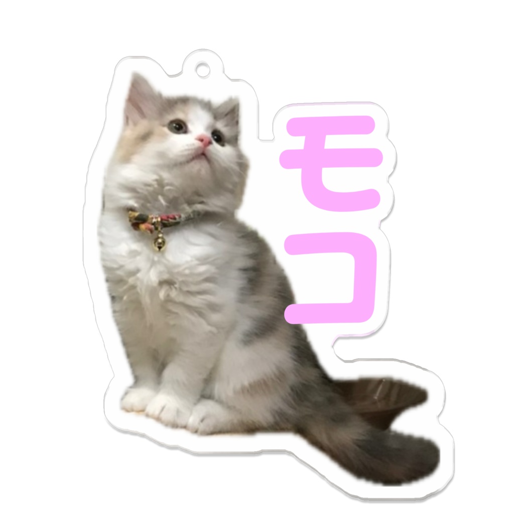 モコアクキー