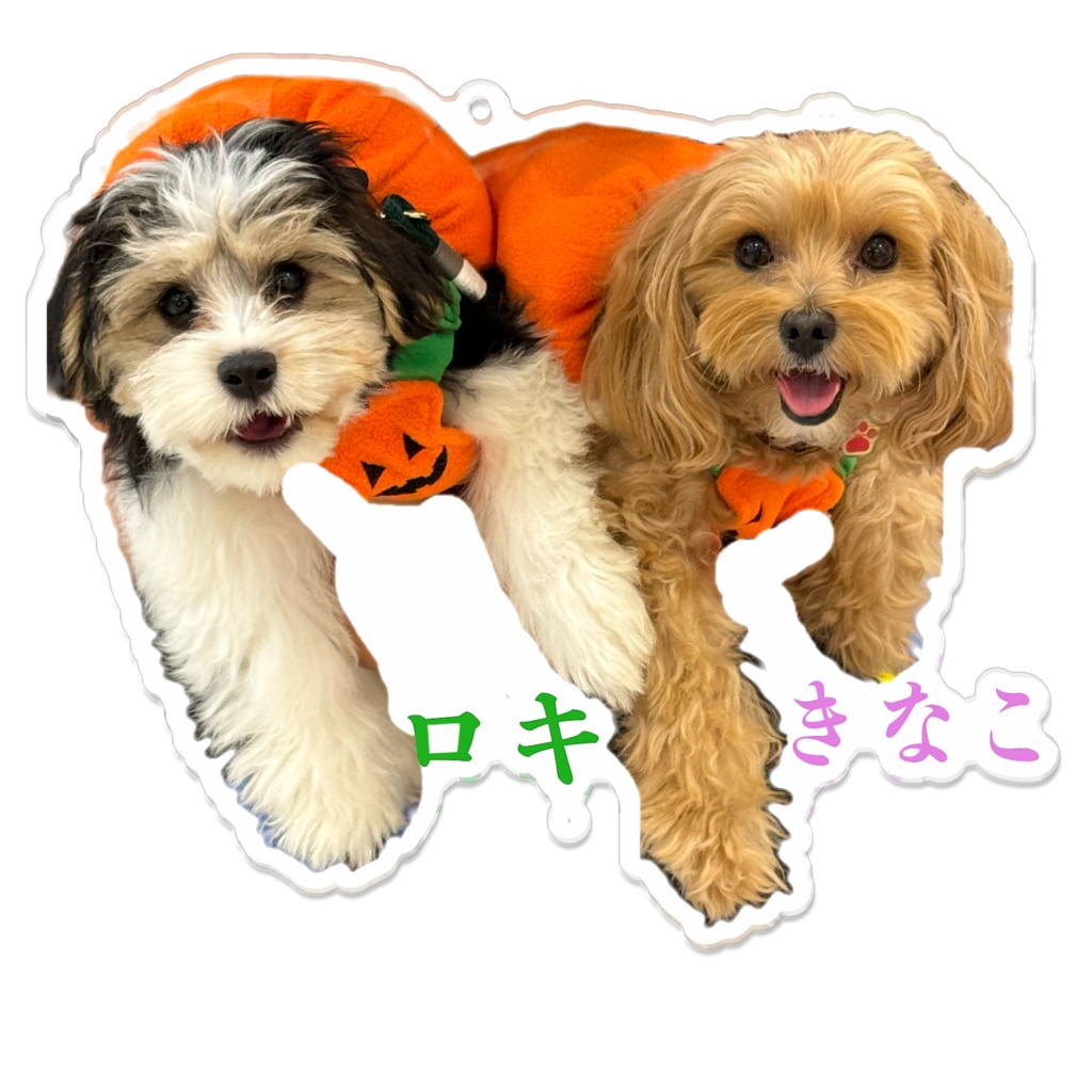 かぼちゃきなこロキアクキー