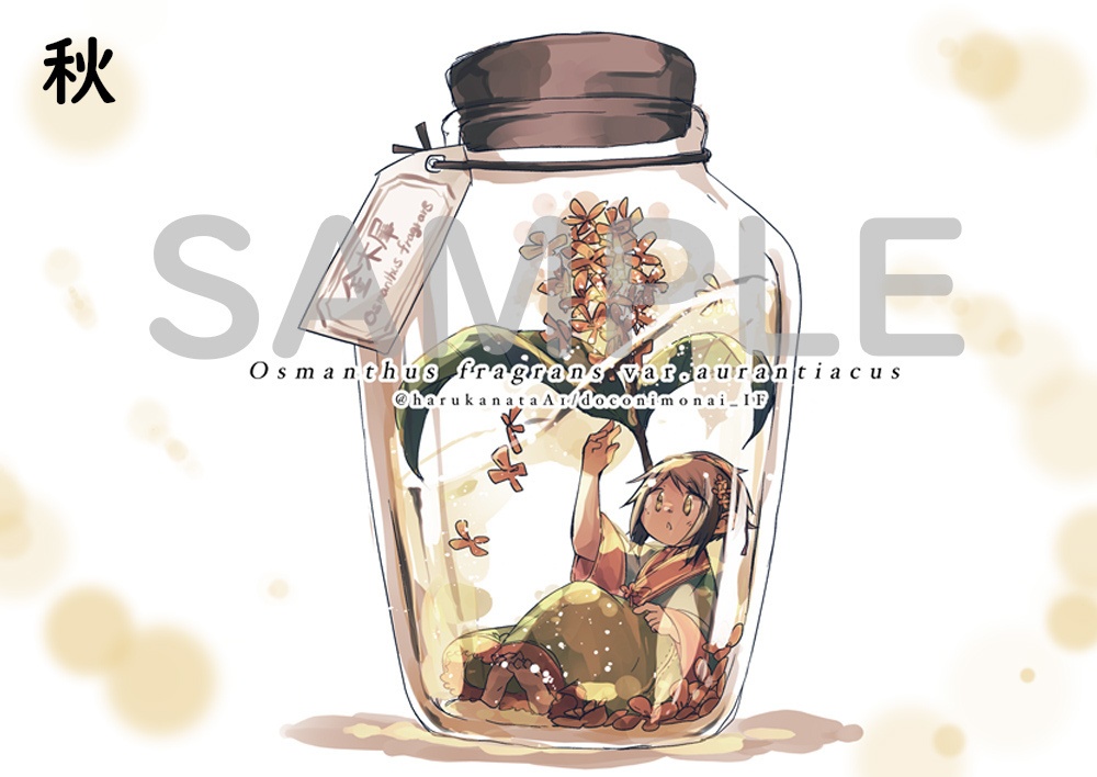 四季の瓶 ポストカード