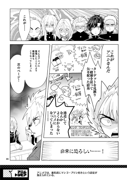 【再販】新しいアニシの光と闇