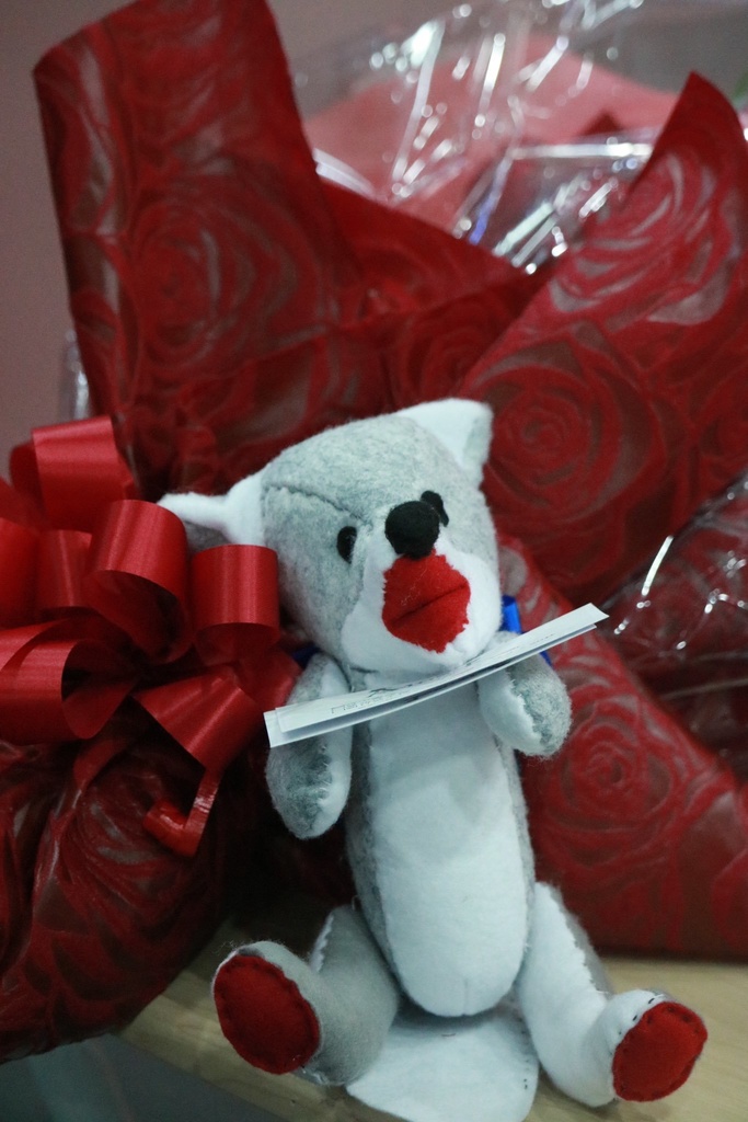 オリジナルぬいぐるみ作成します🐺