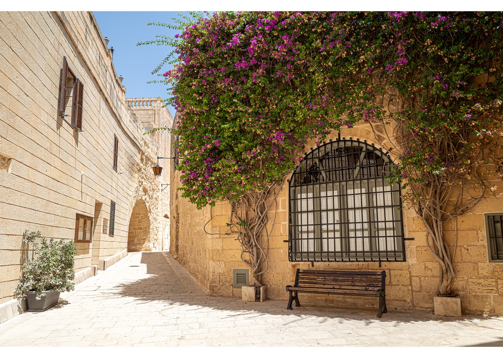 【COMITIA154】Brand new day/Malta