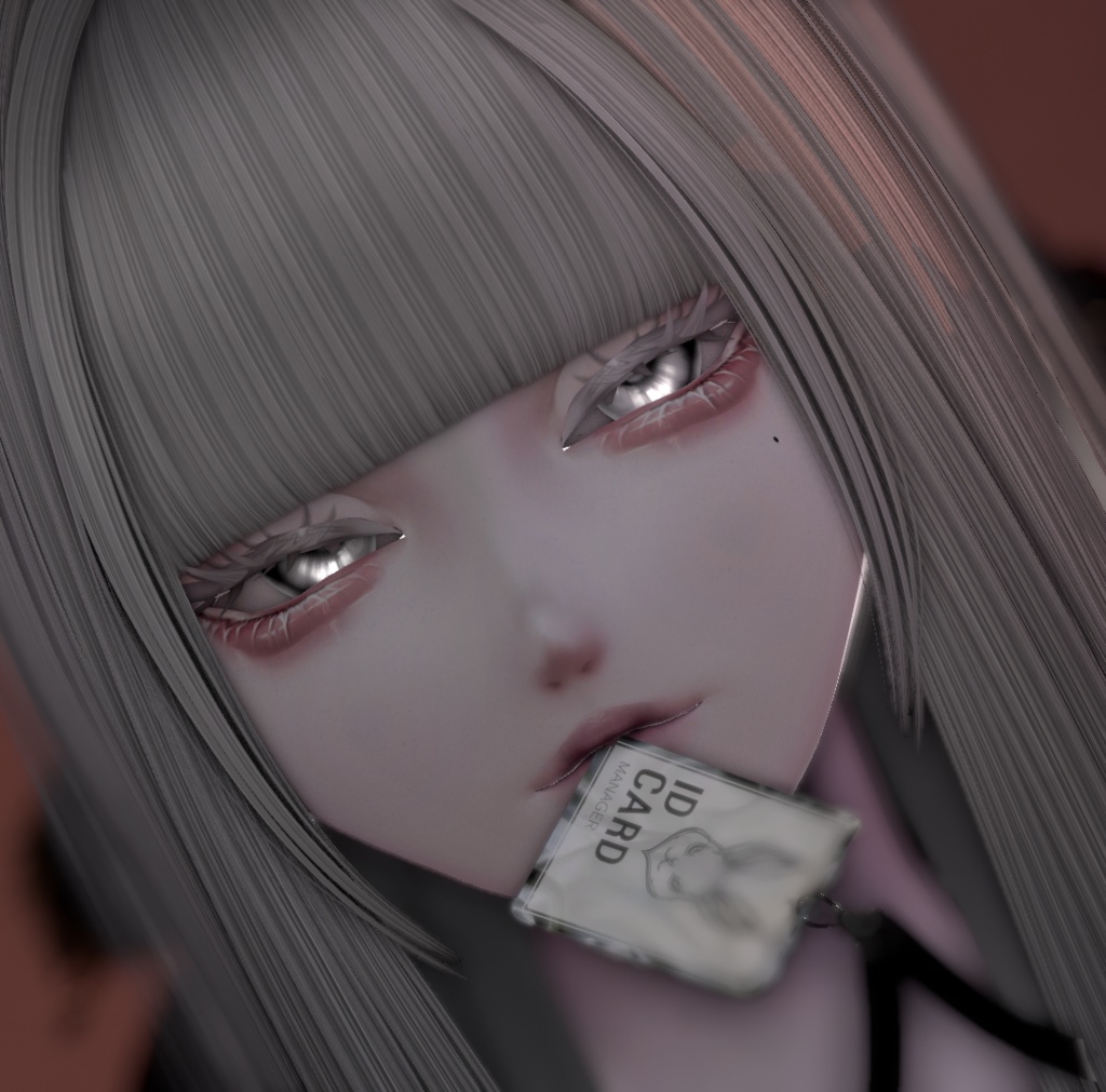 Nocturne Fleur Makeup & Eye & FaceAccessory【LUMINA対応】