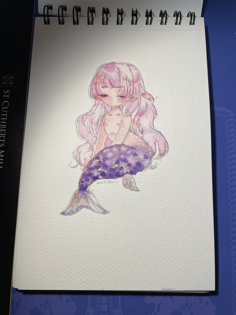 ドローイング原画人魚君