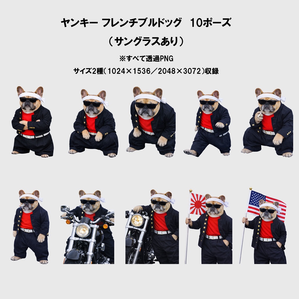 ヤンキーフレンチブルドッグ素材パック(透過PNG)