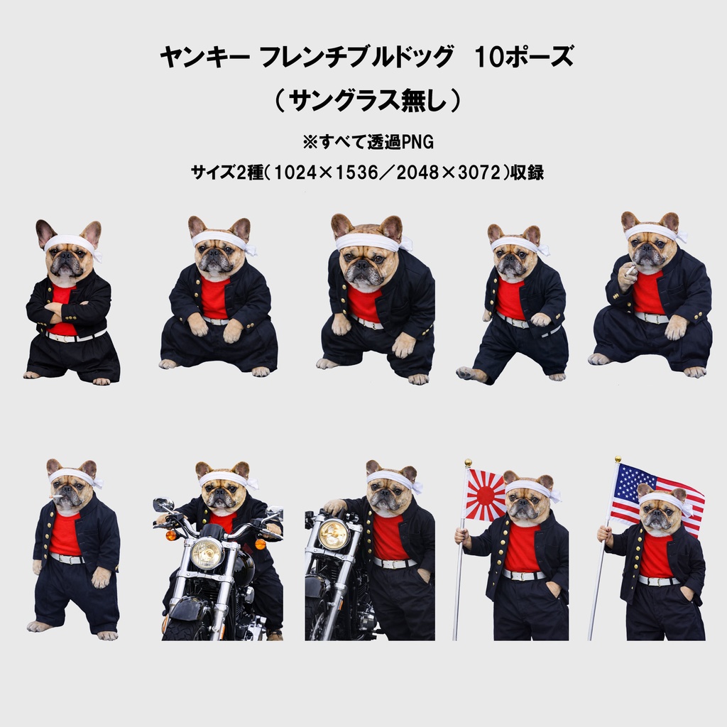 ヤンキーフレンチブルドッグ素材パック(透過PNG)