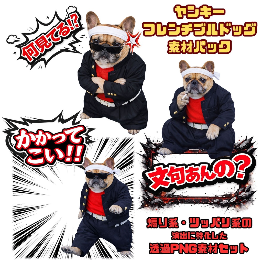 ヤンキーフレンチブルドッグ素材パック(透過PNG)