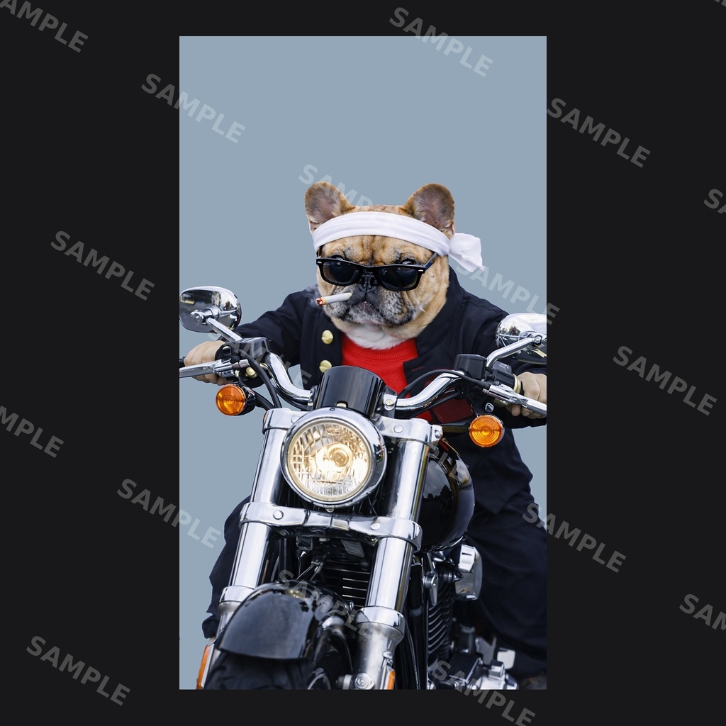 【高画質スマホ壁紙】ヤンキーフレンチブルドッグ ポーズセット|3バリエーション × 4サイズ(iPhone・Android対応)