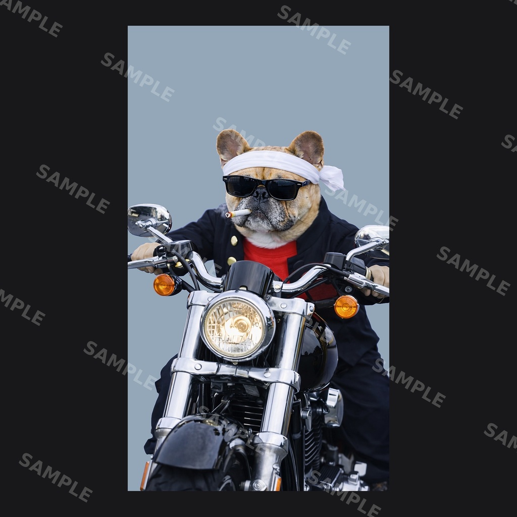 【高画質スマホ壁紙】ヤンキーフレンチブルドッグ ポーズセット|3バリエーション × 4サイズ(iPhone・Android対応)