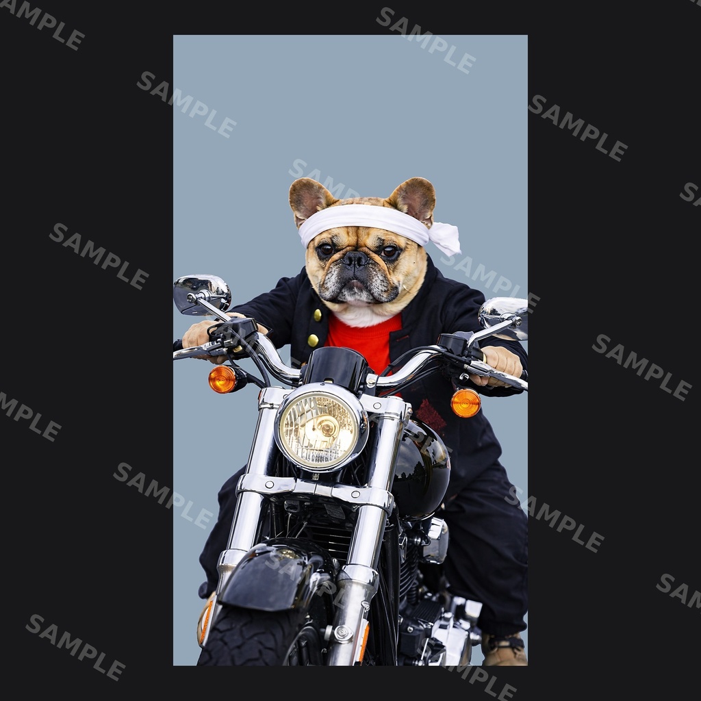 【高画質スマホ壁紙】ヤンキーフレンチブルドッグ ポーズセット｜3バリエーション × 4サイズ（iPhone・Android対応）