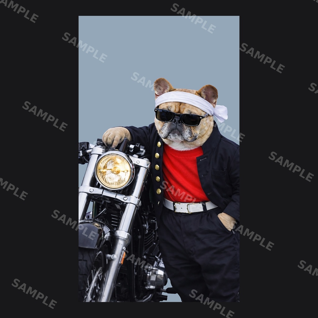 【高画質スマホ壁紙】ヤンキーフレンチブルドッグ ポーズセット|3バリエーション × 4サイズ(iPhone・Android対応)